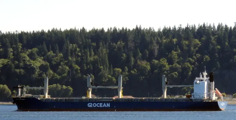 STAR LYSEFJORD General Cargo IMO 9616840 photo 2