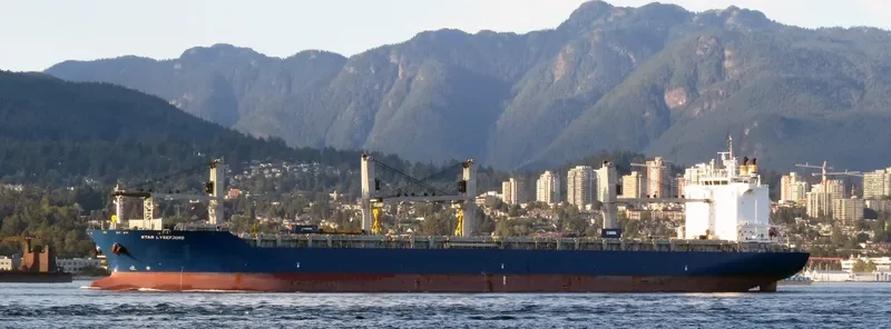 STAR LYSEFJORD General Cargo IMO 9616840 photo 7