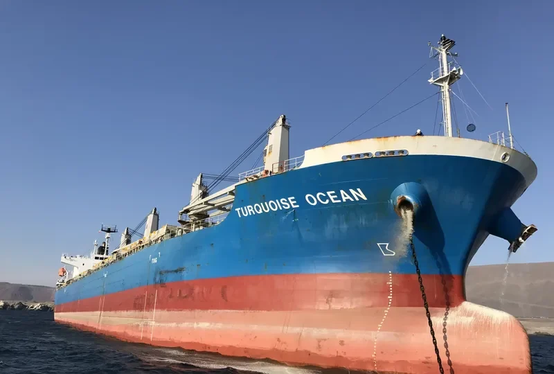 TBC PRIME Bulk Carrier IMO 9618501 photo 2