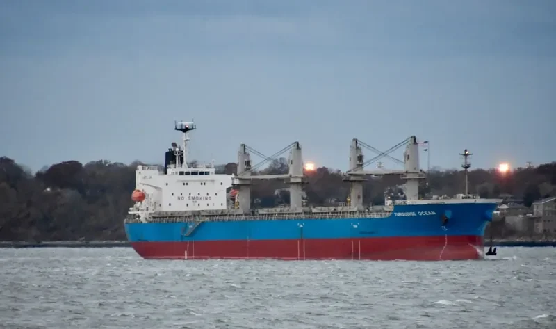 TBC PRIME Bulk Carrier IMO 9618501 photo 3