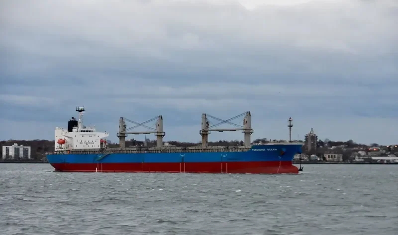 TBC PRIME Bulk Carrier IMO 9618501 photo 4