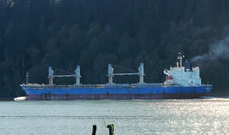 TBC PRIME Bulk Carrier IMO 9618501 photo 5