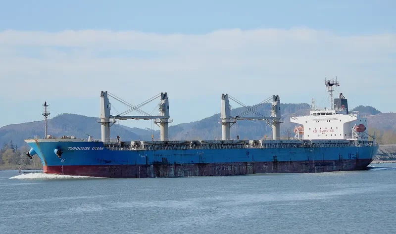 TBC PRIME Bulk Carrier IMO 9618501 photo 6