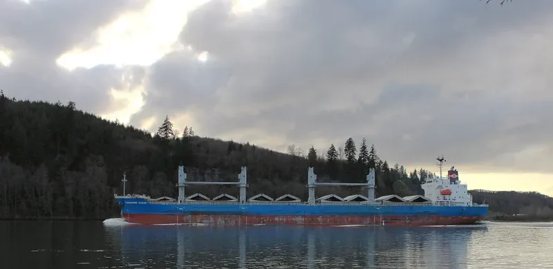 TBC PRIME Bulk Carrier IMO 9618501 photo 8