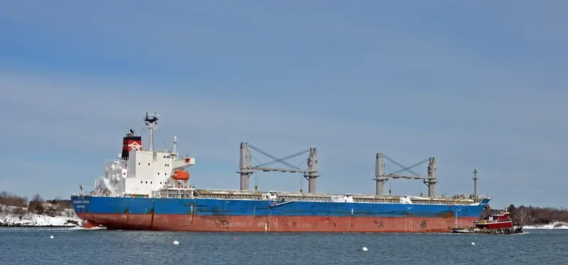 TBC PRIME Bulk Carrier IMO 9618501 photo 9