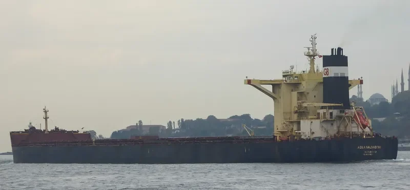 AQUASALWADOR Bulk Carrier IMO 9618824 photo 5