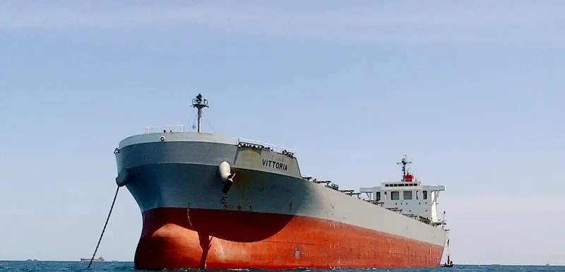 VITTORIA Bulk Carrier IMO 9620645 photo 2