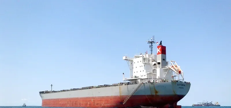 VITTORIA Bulk Carrier IMO 9620645 photo 3