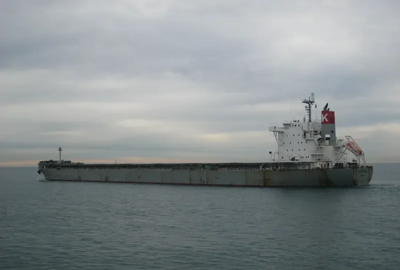 VITTORIA Bulk Carrier IMO 9620645 photo 4