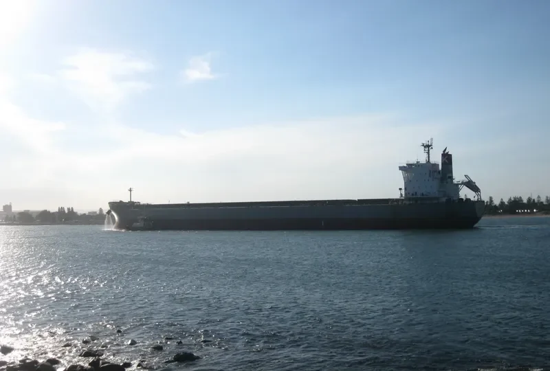 VITTORIA Bulk Carrier IMO 9620645 photo 6