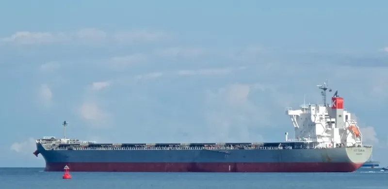 VITTORIA Bulk Carrier IMO 9620645 photo 9