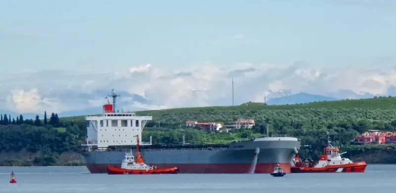 VITTORIA Bulk Carrier IMO 9620645 photo 10