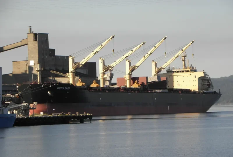 STAR PEGASUS Bulk Carrier IMO 9621780 photo 2