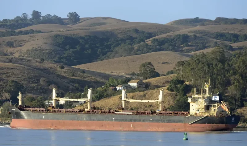 STAR PYXIS Bulk Carrier IMO 9621792