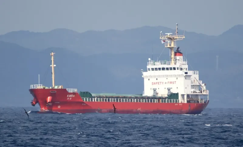KARA General Cargo IMO 9623398 photo 2