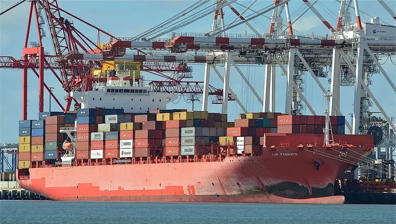 RDO FORTUNE Container Ship IMO 9623673 photo 10