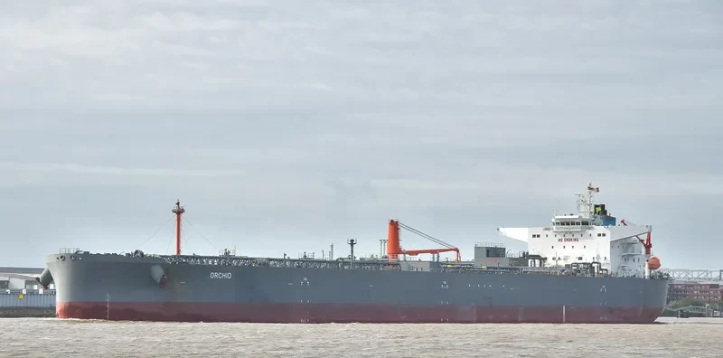 NORDORCHID Tanker IMO 9624079 photo 5