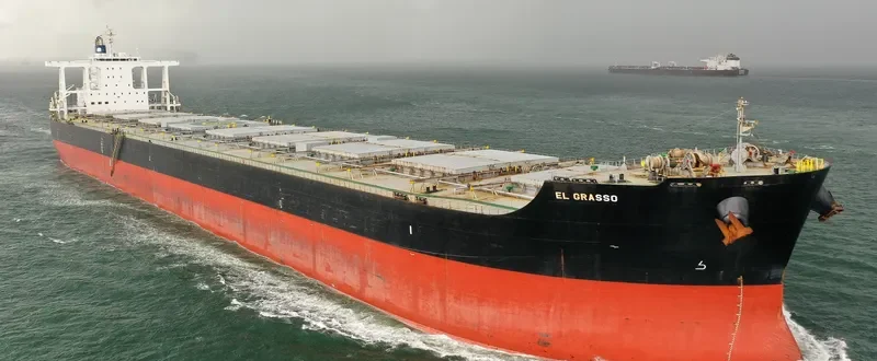 EL GRASSO Bulk Carrier IMO 9624251 photo 6
