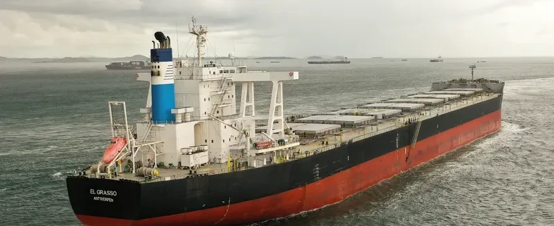 EL GRASSO Bulk Carrier IMO 9624251 photo 7