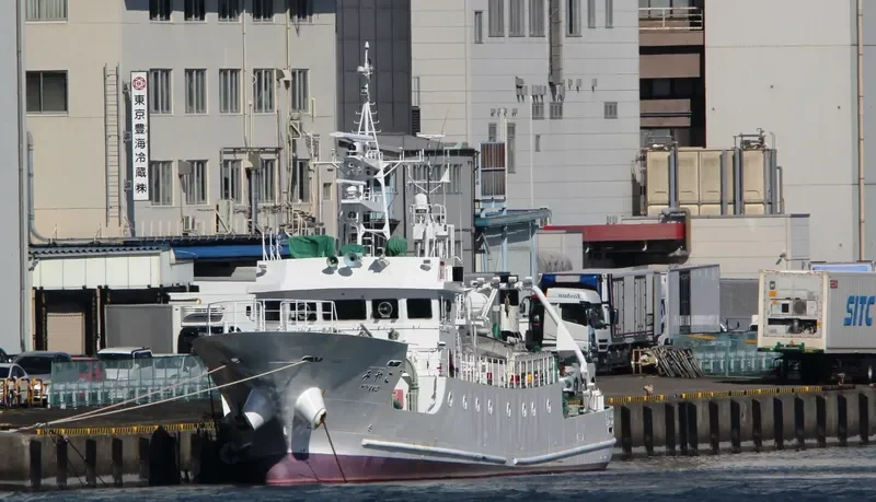 MIYAKO General Cargo IMO 9625619