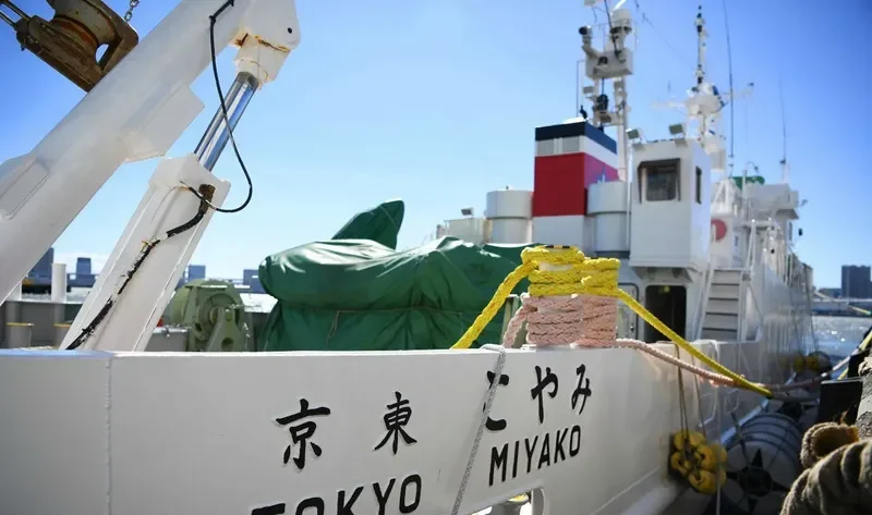 MIYAKO General Cargo IMO 9625619 photo 2