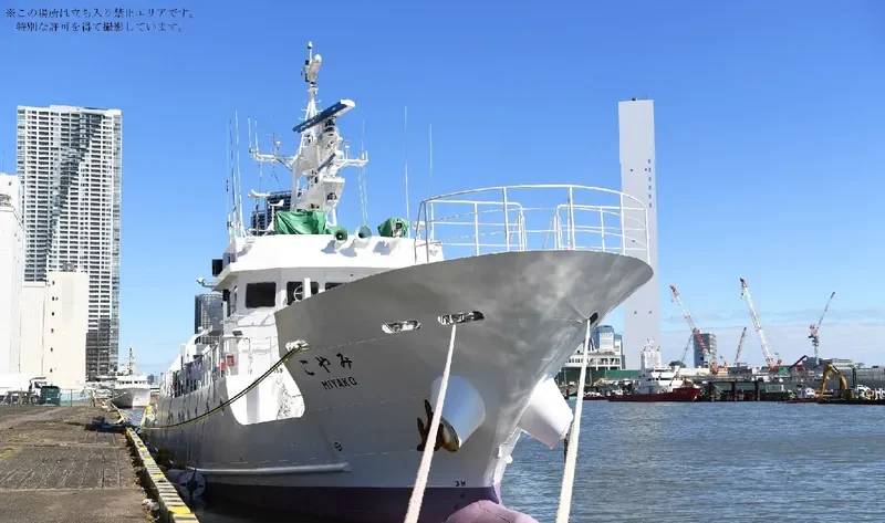 MIYAKO General Cargo IMO 9625619 photo 3
