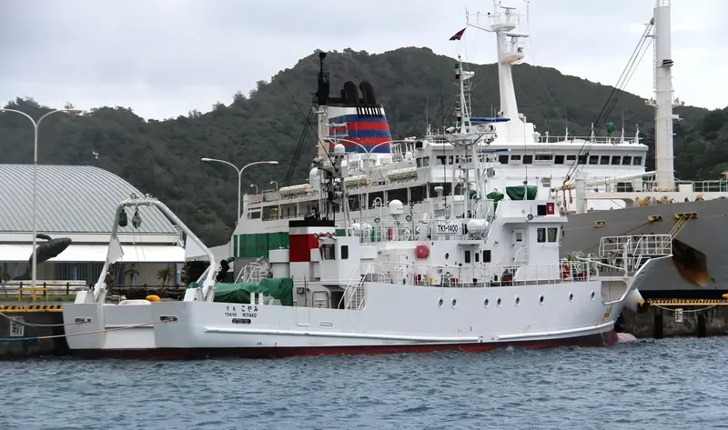 MIYAKO General Cargo IMO 9625619 photo 5