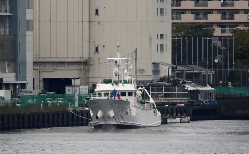 MIYAKO General Cargo IMO 9625619 photo 10