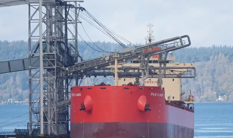PAN FLOWER Bulk Carrier IMO 9625841 photo 2