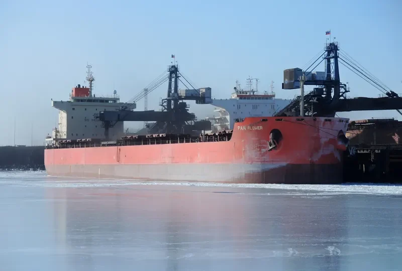 PAN FLOWER Bulk Carrier IMO 9625841 photo 3