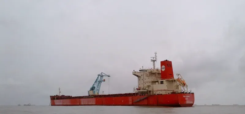 PAN GLOBAL Bulk Carrier IMO 9625853 photo 3