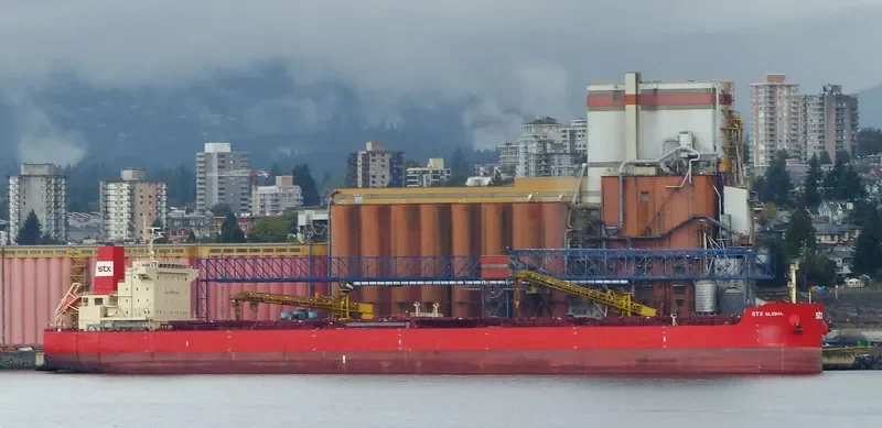 PAN GLOBAL Bulk Carrier IMO 9625853 photo 6
