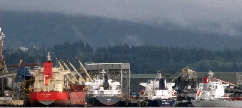 PAN GLOBAL Bulk Carrier IMO 9625853 photo 7