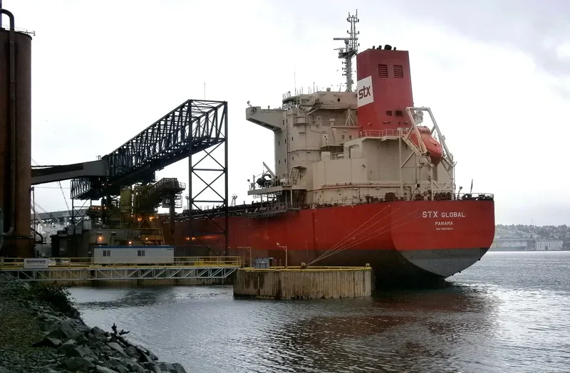 PAN GLOBAL Bulk Carrier IMO 9625853 photo 8