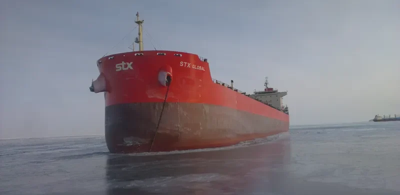 PAN GLOBAL Bulk Carrier IMO 9625853 photo 9