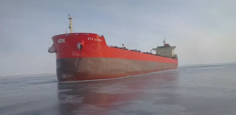 PAN GLOBAL Bulk Carrier IMO 9625853 photo 10