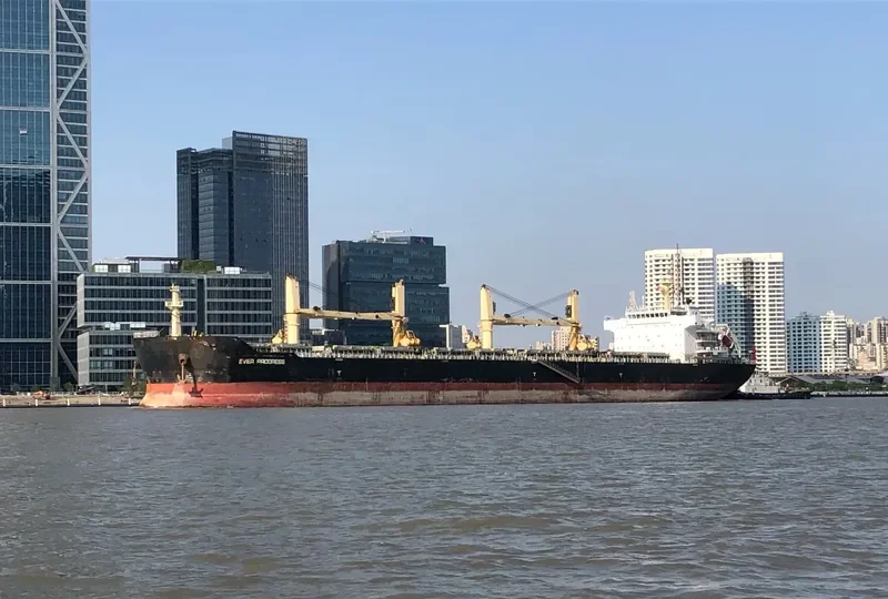 EVER PROGRESS Bulk Carrier IMO 9627033 photo 5