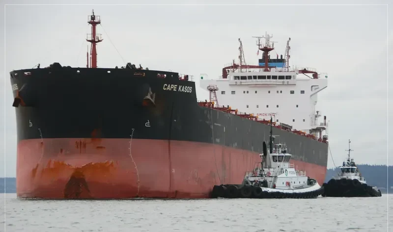 CAPE KASOS Bulk Carrier IMO 9627069 photo 8