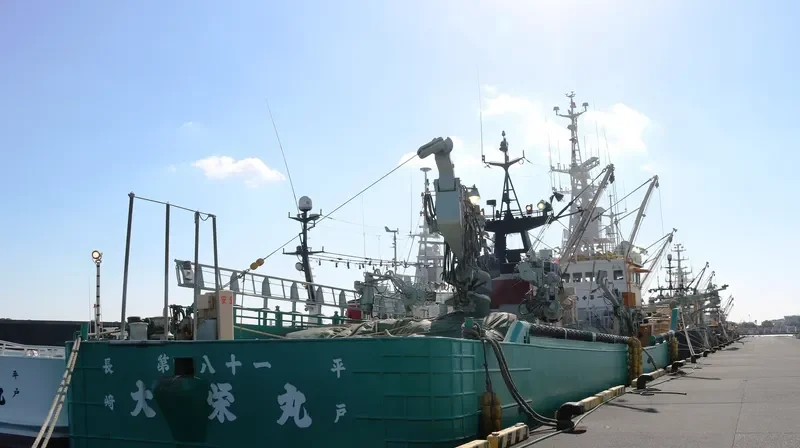 DAIEI MARU NO.81 General Cargo IMO 9627875