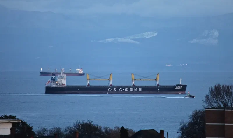 CHANG HANG CANG HAI Bulk Carrier IMO 9628207 photo 2