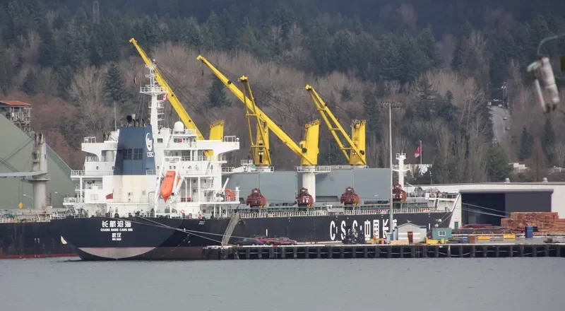 CHANG HANG CANG HAI Bulk Carrier IMO 9628207 photo 6