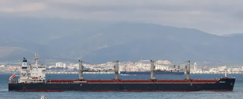 ALIS Bulk Carrier IMO 9630743