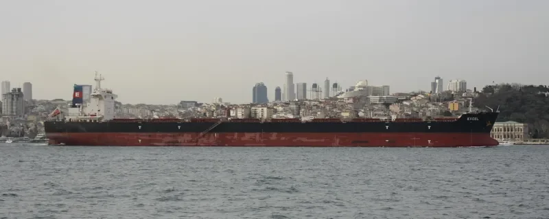 EXCEL Bulk Carrier IMO 9630793 photo 4