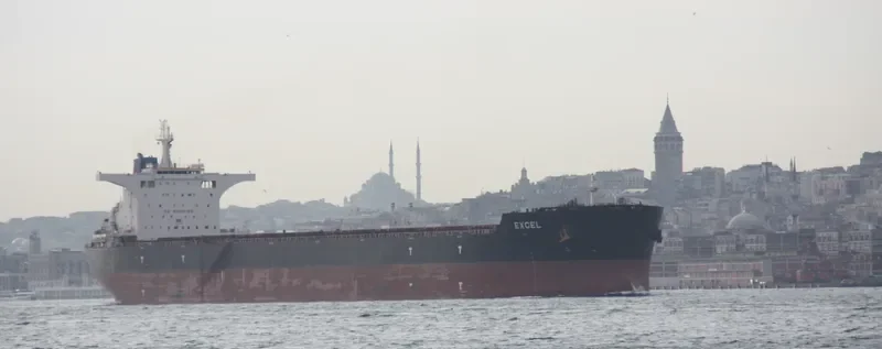 EXCEL Bulk Carrier IMO 9630793 photo 5