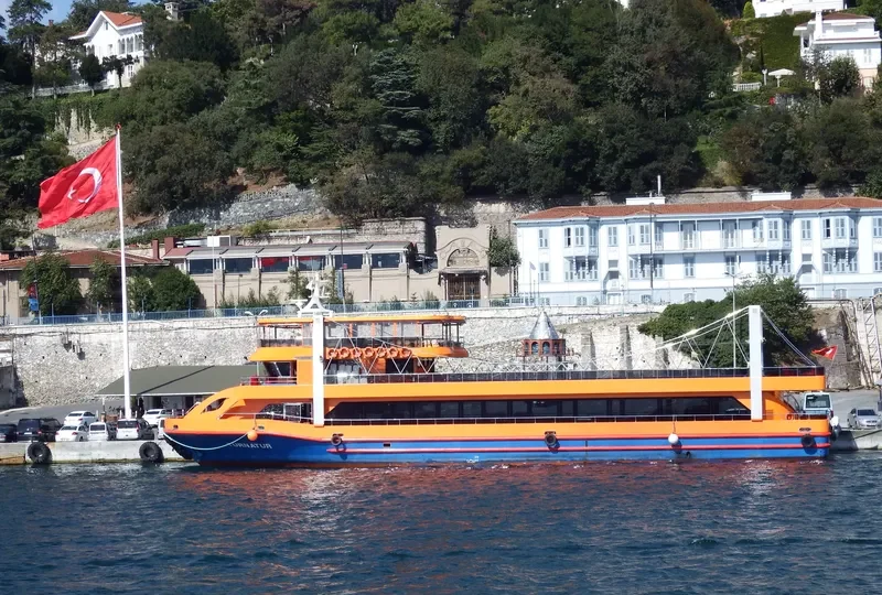 TURNA TUR Passenger Ship IMO 9631618 photo 4