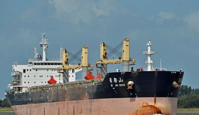 BI JIA SHAN Bulk Carrier IMO 9632272 photo 5
