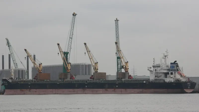 BI JIA SHAN Bulk Carrier IMO 9632272 photo 6