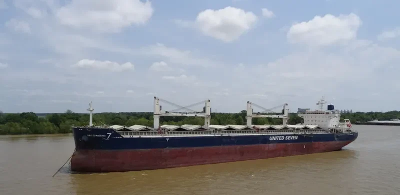 JIN MING 82 Bulk Carrier IMO 9632600 photo 4