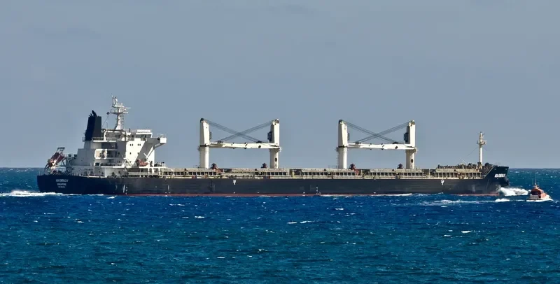 XING HONG DA 8 Bulk Carrier IMO 9632612 photo 3