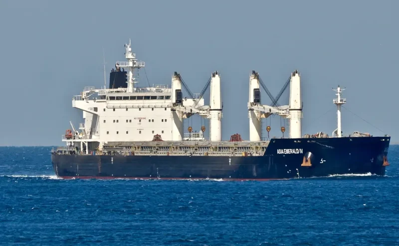 XING HONG DA 8 Bulk Carrier IMO 9632612 photo 5